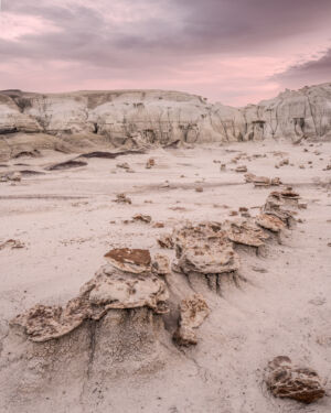 A cracked egg hatchery Rose Sunset